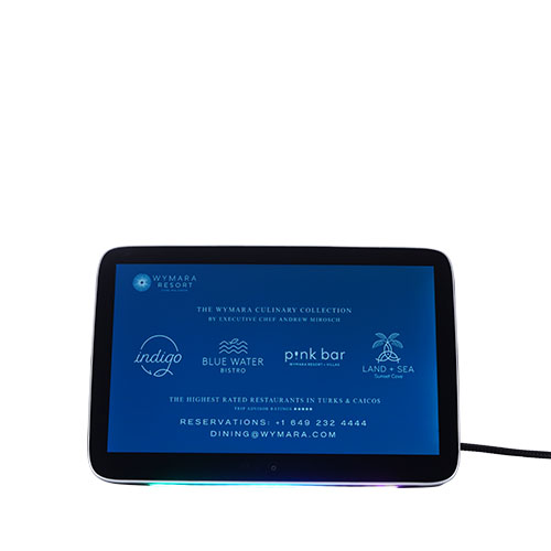 1068 Taxi Headrest Display