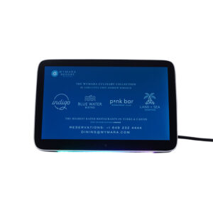 1068 Taxi Headrest Display